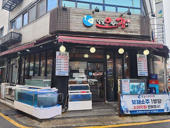 달빛 오징어 광어 석촌본점