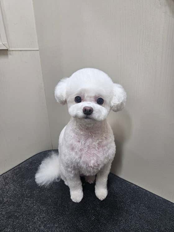 내개로와 · 네이버 지도·플레이스 5