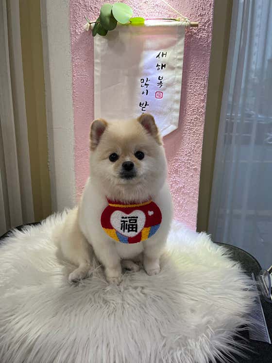 짱짱이네 · 네이버 지도·플레이스 8