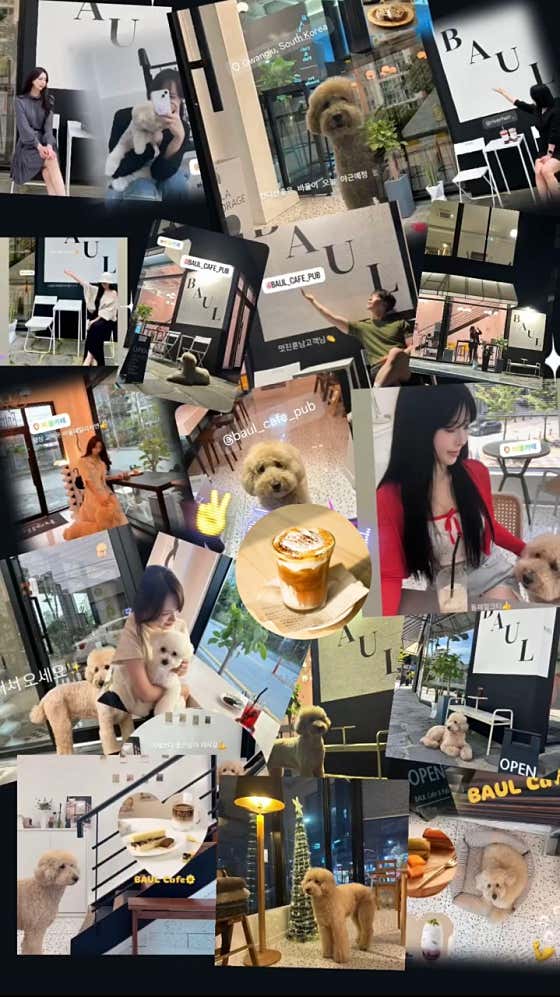 바울카페 · 네이버 지도·플레이스 3