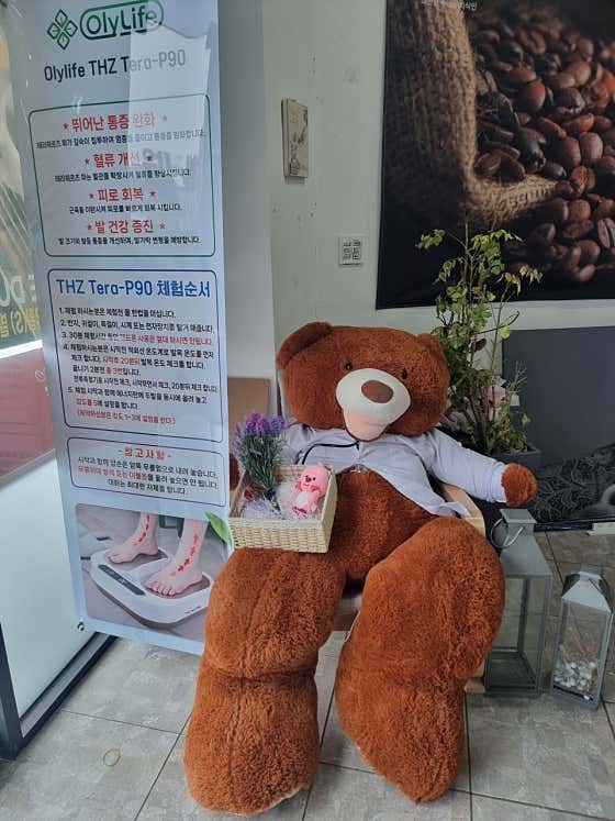 웰빙하우스카페두아 · 네이버 지도·플레이스 6