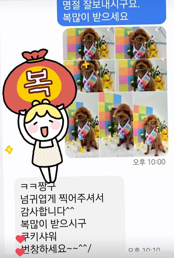 쿠키샤워 · 네이버 지도·플레이스 7