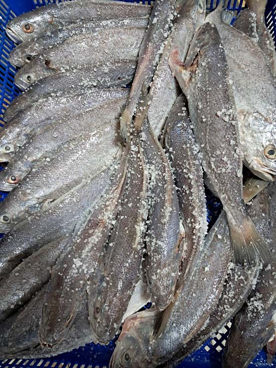 생선구이 메뉴 사진(네이버)