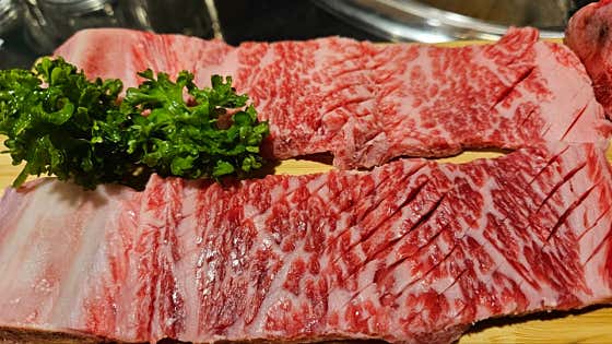 벚꽃 마블링 특선 한우 생갈비 메뉴 사진(네이버)