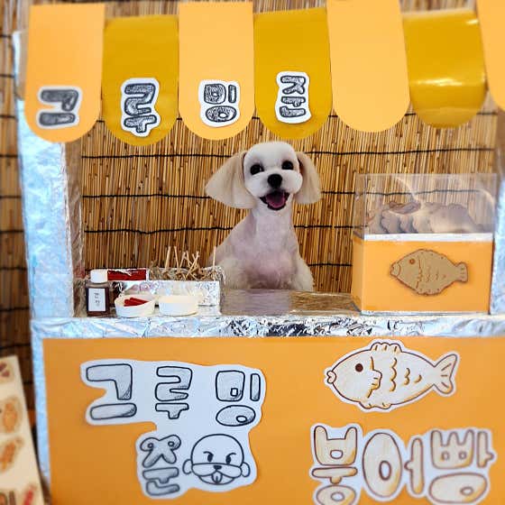 그루밍준 · 네이버 지도·플레이스 9