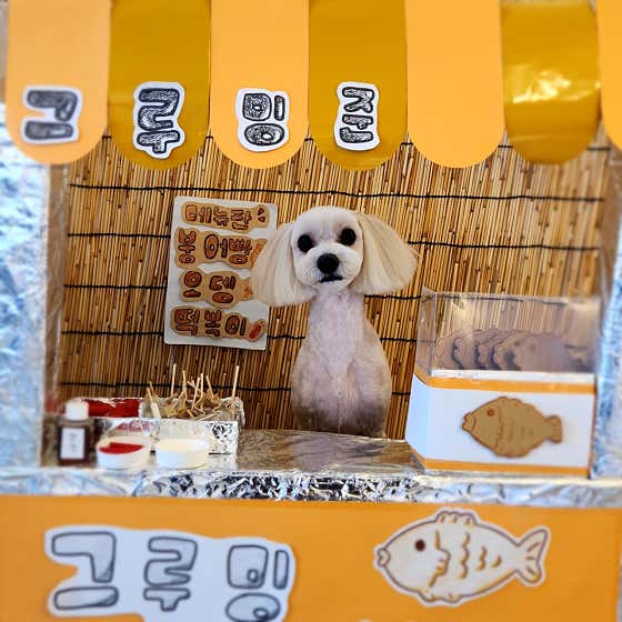 그루밍준 · 네이버 지도·플레이스 6