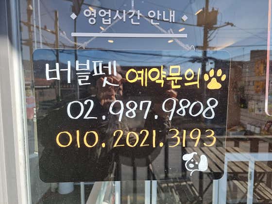 버블펫 · 네이버 지도·플레이스 2
