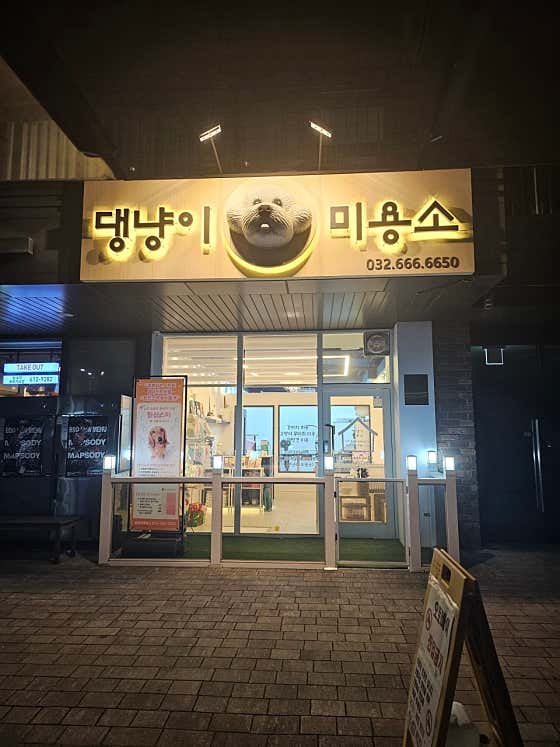 댕냥이 미용소 대표이미지