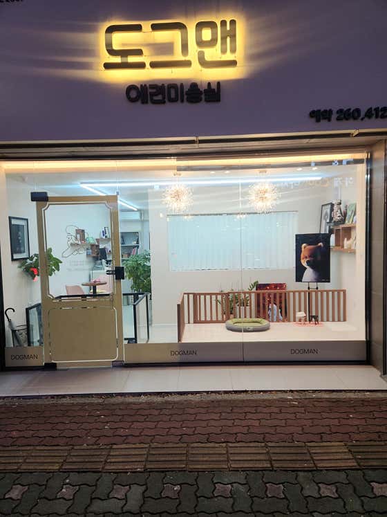 도그맨 · 네이버 지도·플레이스 3