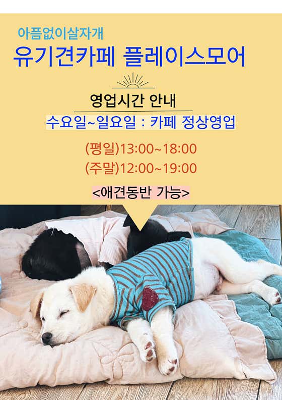 플레이스모어 · 네이버 지도·플레이스 2