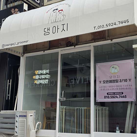 댕아지