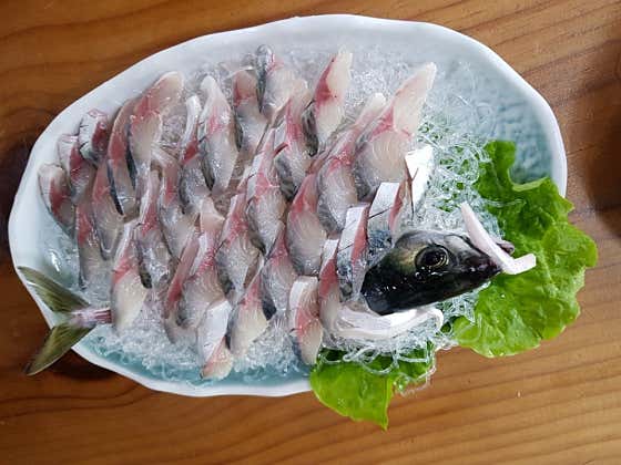 전망 제주활고등어회 메뉴 사진(네이버)