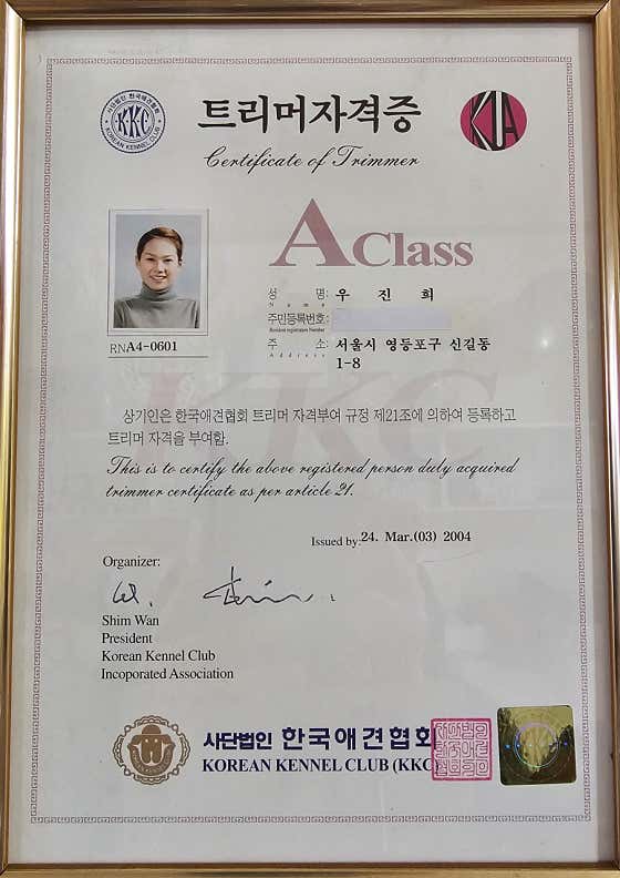 프로펫애견미용실 · 네이버 지도·플레이스 2