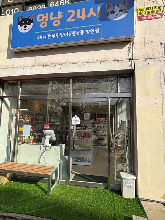멍냥24시