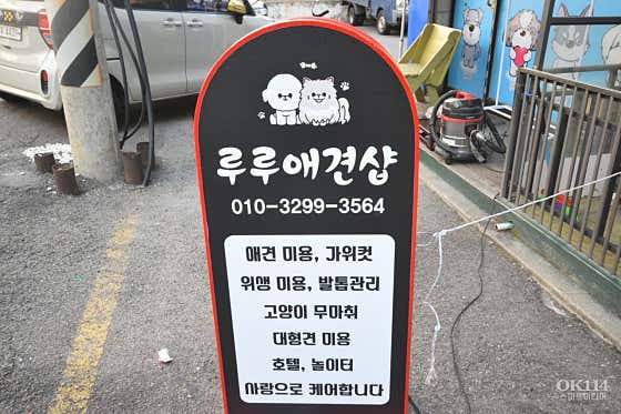 루루애견샵 · 네이버 지도·플레이스 5