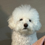 두호 메뉴 사진(네이버)