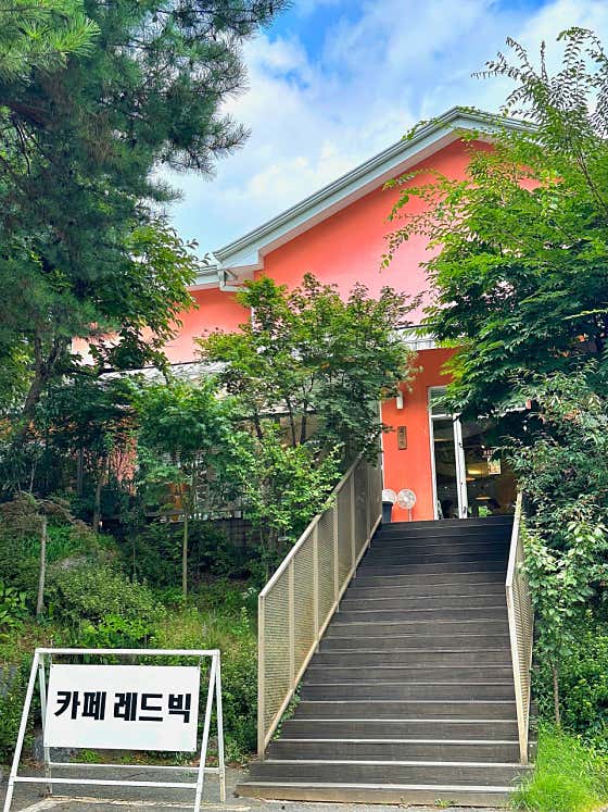 레드빅 · 네이버 지도·플레이스 2