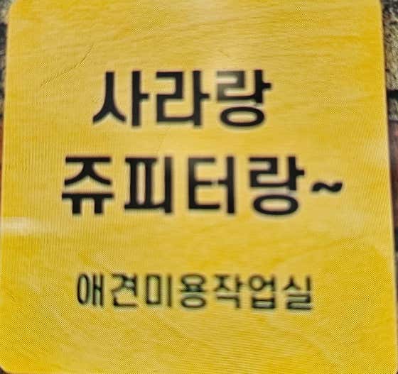사라랑쥬피터랑