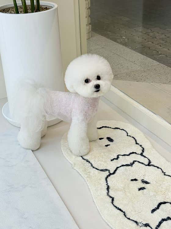 아로몽 · 네이버 지도·플레이스 3
