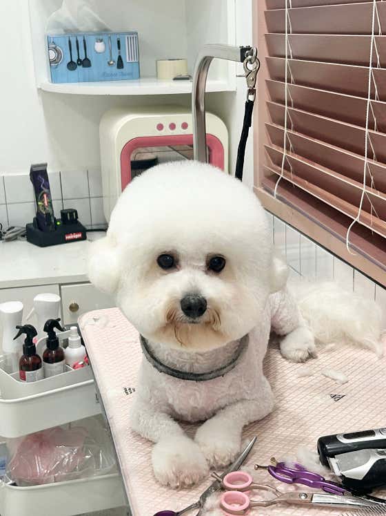 멍개구름 · 네이버 지도·플레이스 7