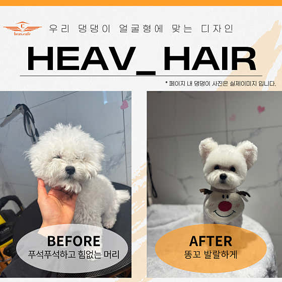 헤브펫 · 네이버 지도·플레이스 2