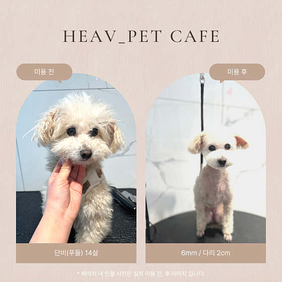 헤브펫 · 네이버 지도·플레이스 3