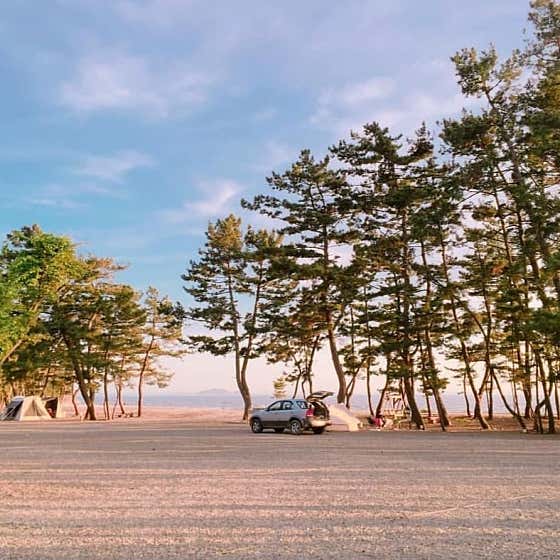 대부도 나라펜션캠핑장 대표이미지