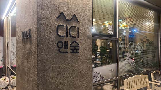 디디앤숲 · 네이버 지도·플레이스 9