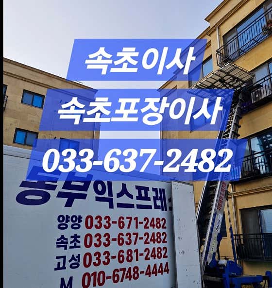 동부익스프레스