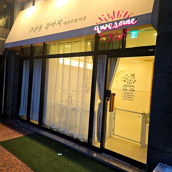 구산동강아지