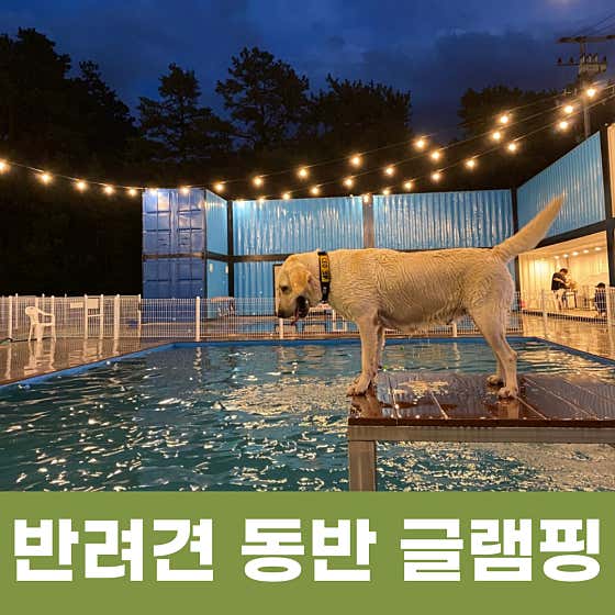 멍글멍글펫글램핑 대표이미지