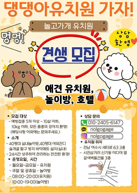 놀고가개 애견유치원&애견놀이방&애견호텔 · 네이버 지도·플레이스 7