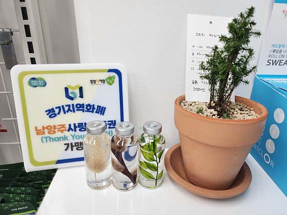 2층엔약국