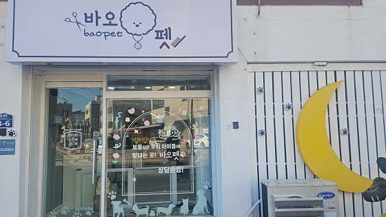 바오펫 대표이미지