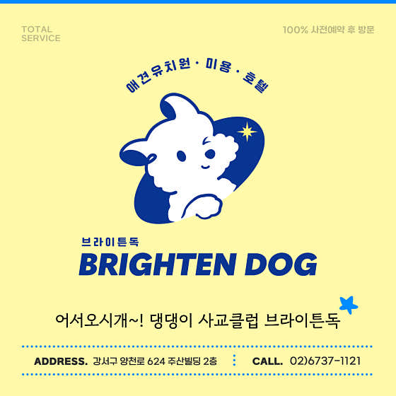 브라이튼독 대표이미지