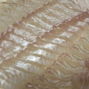 완도광어회 메뉴 사진(네이버)
