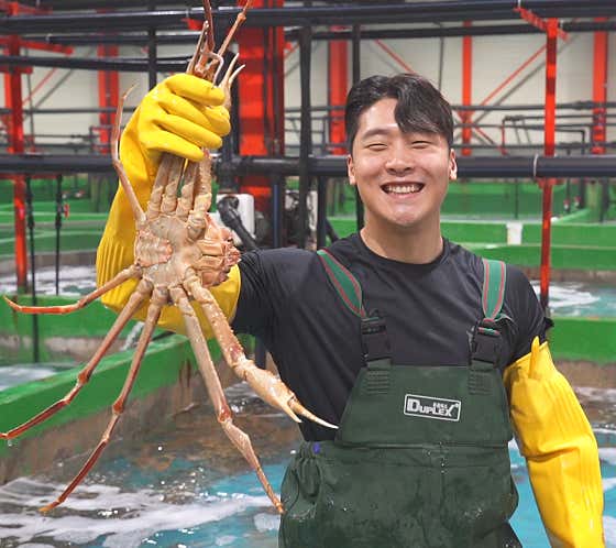 우리푸드대게