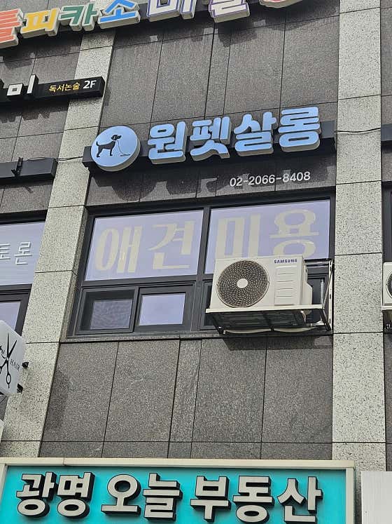 원펫살롱 · 네이버 지도·플레이스 2