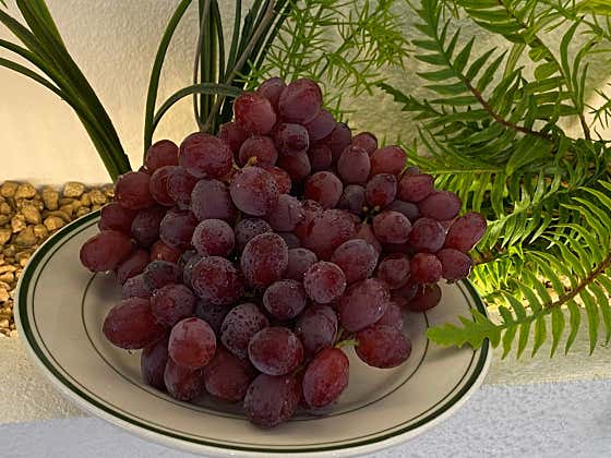 후르츠프루츠 첨단점 · 네이버 지도·플레이스 7