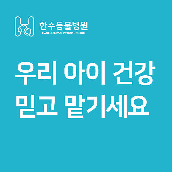 한수동물병원 대표이미지