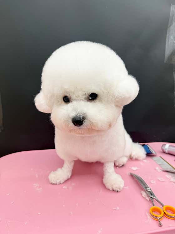 디어마이몽 · 네이버 지도·플레이스 3