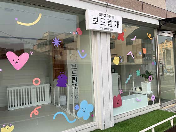 보드랍개 · 네이버 지도·플레이스 2