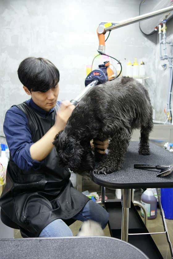 은밀한개 위대한개 · 네이버 지도·플레이스 6