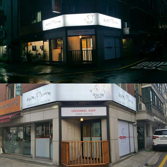 은밀한개 위대한개 · 네이버 지도·플레이스 5