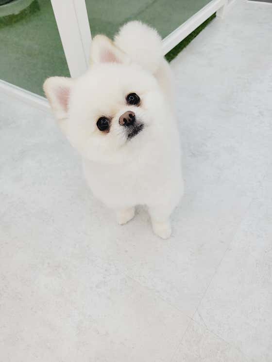 몽스타 · 네이버 지도·플레이스 9