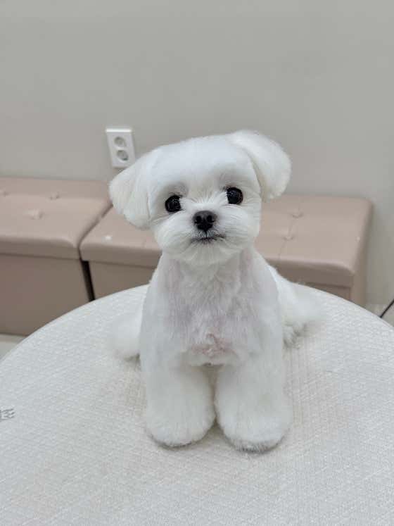 하이벨몽 · 네이버 지도·플레이스 5