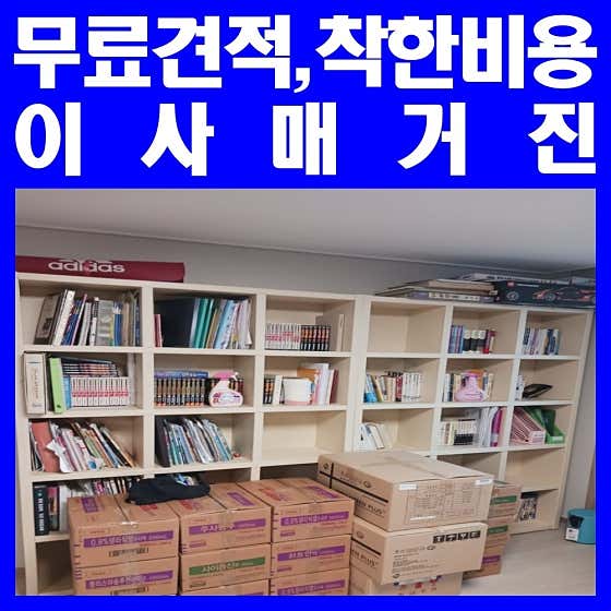안성이사