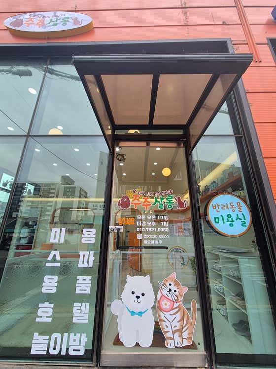 주주살롱 · 네이버 지도·플레이스 2
