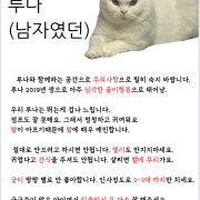 카페메뉴 18:00 이전 할인 있음. 메뉴 사진(네이버)