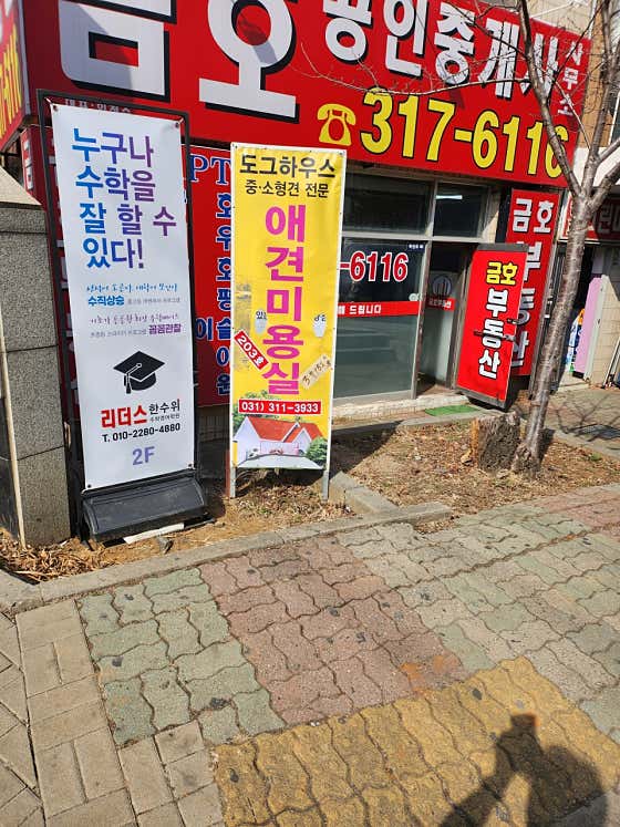 애견미용실 · 네이버 지도·플레이스 2